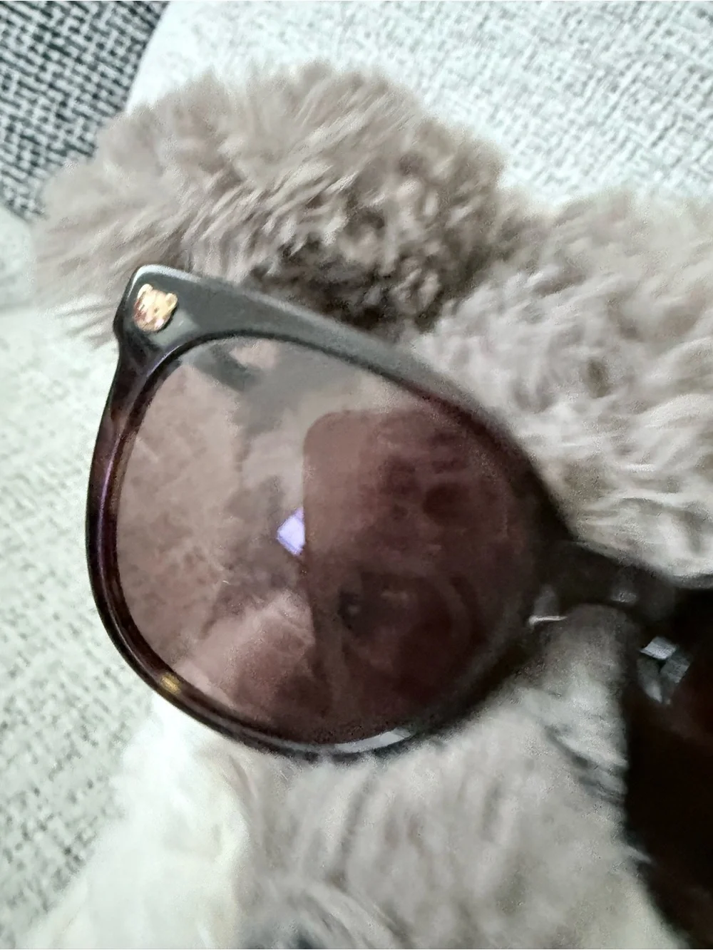 Moschino Black Sunglasses with Gold Bear and Logo